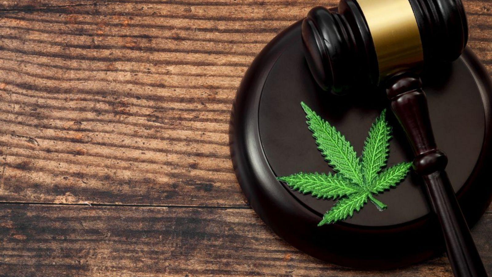 colorado cannabis law